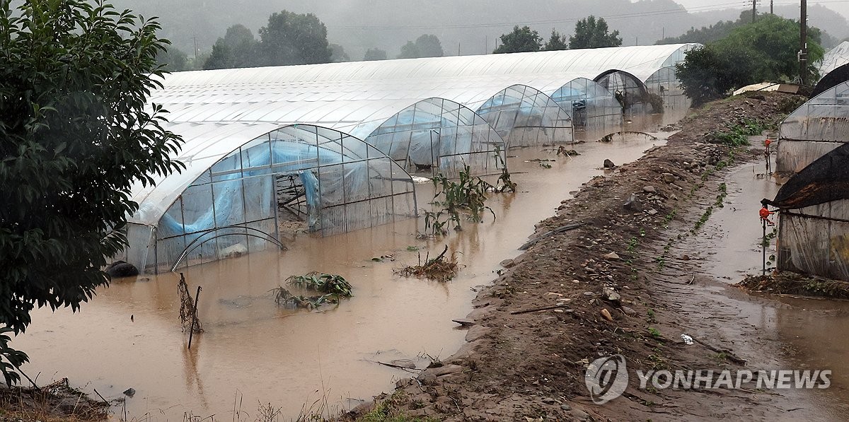 [전국 레이더] "아직도 땅이 질퍽질퍽"…농작물 침수·더딘 복구 '망연자실'