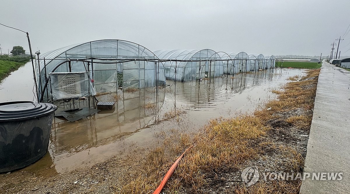 하루 만에 255㎜ 쏟아진 익산…"물 안 빠져…복구 하세월"