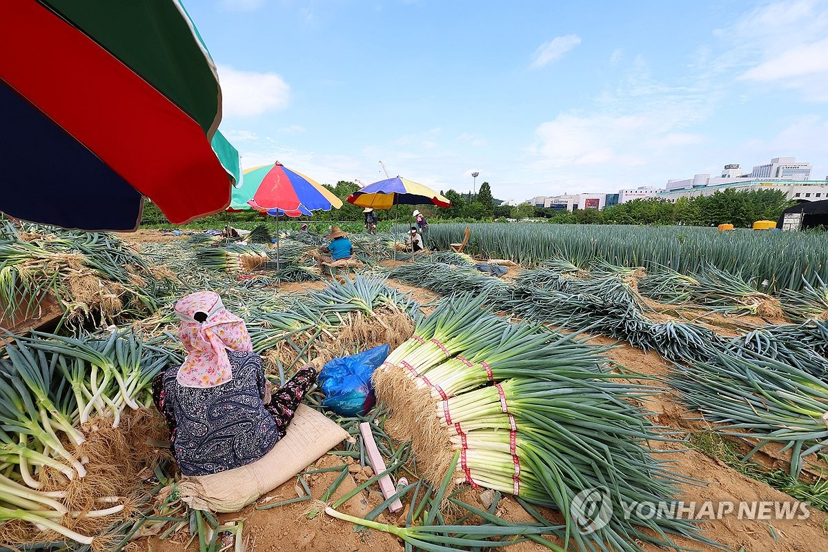 내일 새벽 경기북부 시간당 70㎜↑…수도권·충청북부 집중호우