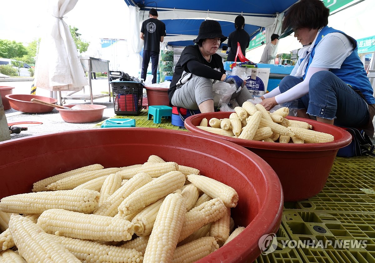 홍천 찰옥수수축제성황 폐막…사흘간 3만명 방문