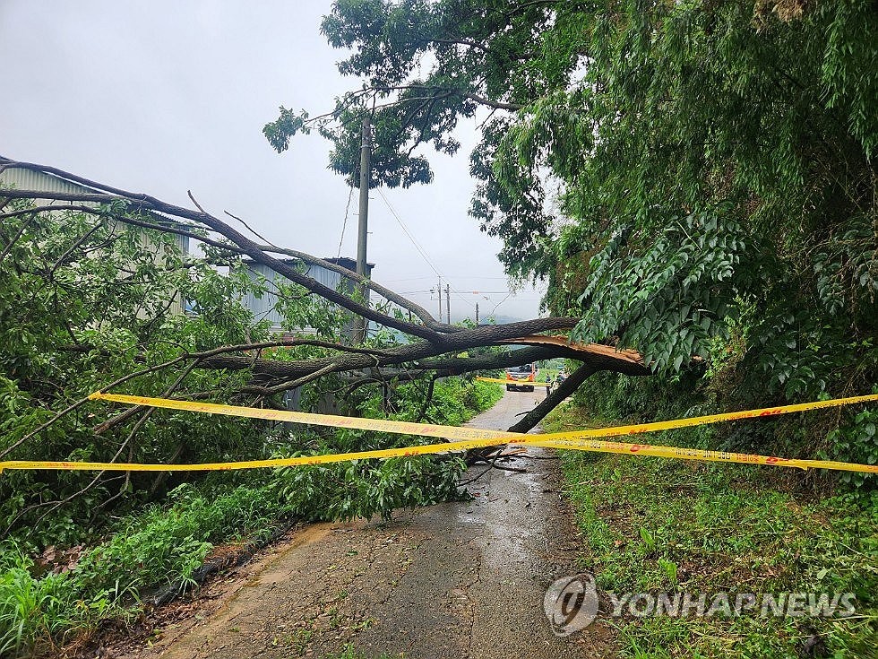 광주·전남 호우주의보 해제…이틀간 최고 93㎜ 내려