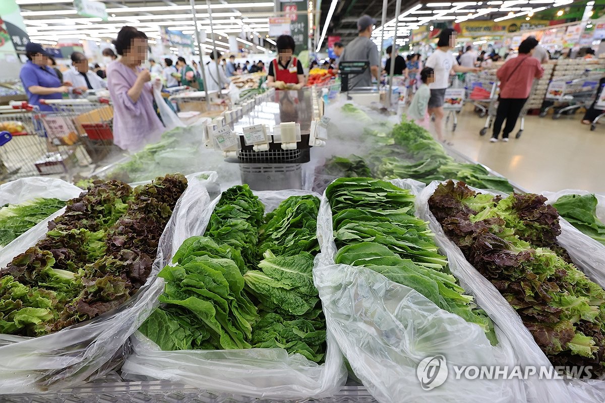 농식품부 "상추·오이 등 채솟값 강세…사과가격은 하락"