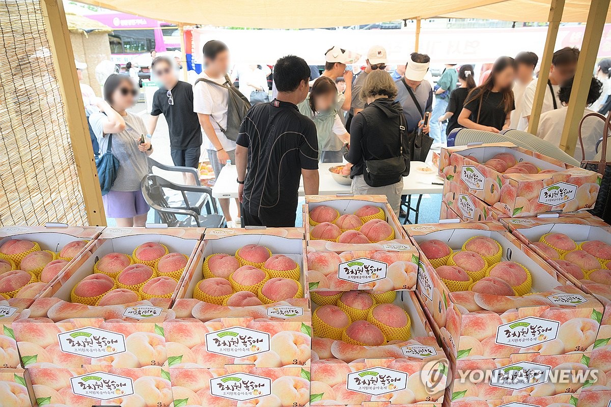 '찜통더위 절정'…대전·세종·충남 해수욕장·축제장 북적