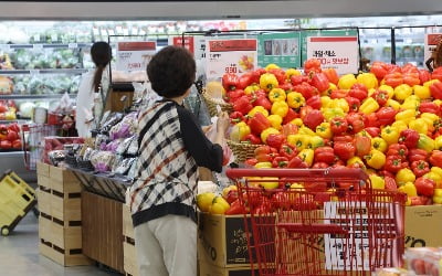[속보] 6월 소비자물가 2.4% 상승…11개월 만에 최저