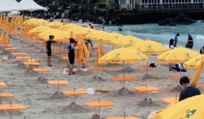 제주도 '바가지' 논란에 해수욕장 평상 등 요금 반값 할인