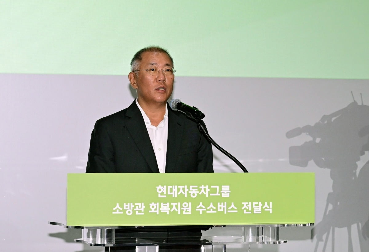 정의선 현대차그룹 회장./사진=연합뉴스