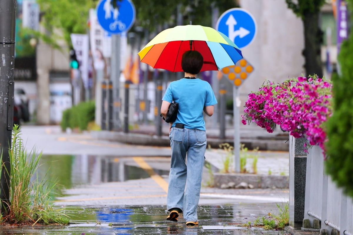 지난달 30일 오전 광주 북구 임동 광천2교에서 한 시민이 우산을 쓰고 이동하고 있다./ 사진=연합뉴스