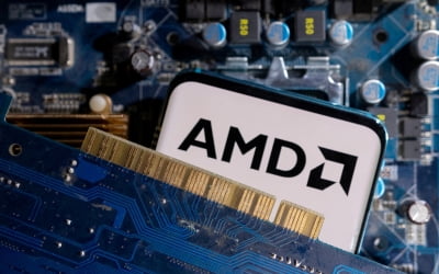 희비 엇갈린 AMD·엔비디아…"빅테크 'AI 러시' 조정받나"