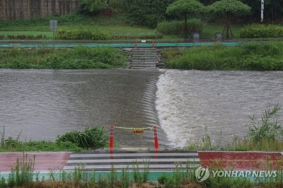 나무 쓰러지고 배수로 막히고…경기북부 비 피해 속출