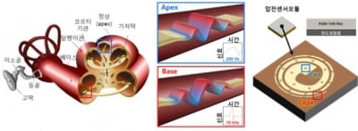 달팽이관 닮은 음향 센서 개발…차량 종류까지 구별