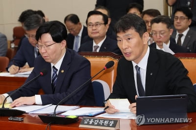 정무위, '위메프·티몬 사태'에 "금감원도 문제" 질타
