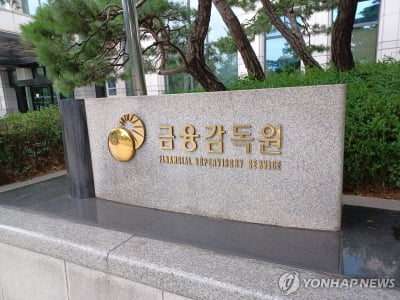 금감원, '티메프' 관련 카드사 소집…"적극적으로 환불" 당부