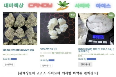 다크웹서 한국어로 된 마약 오픈마켓 적발…회원만 4천명 육박