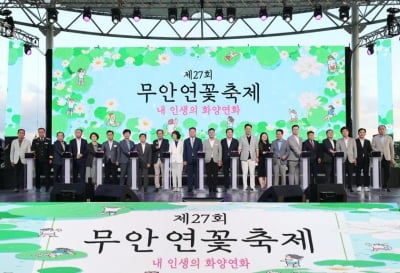 무안 회산백련지서 연꽃축제 막 올라