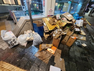 "어느 게 재활용이죠?"…쓰레기 투기에 멍드는 서울 관광지