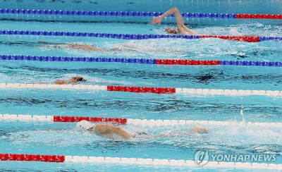 [올림픽] 공공연한 비밀?…수영선수들, 대개 물속에서 '실례'