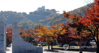 경기도 관광특구 평가서 '파주 통일동산' 1위