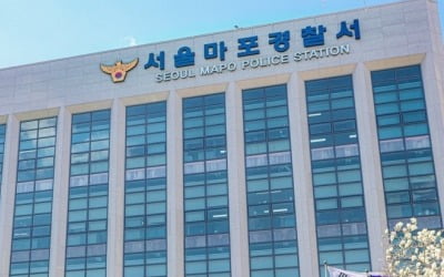 유명 래퍼가 공원서 '행인 폭행'…경찰, 입건 전 조사 착수