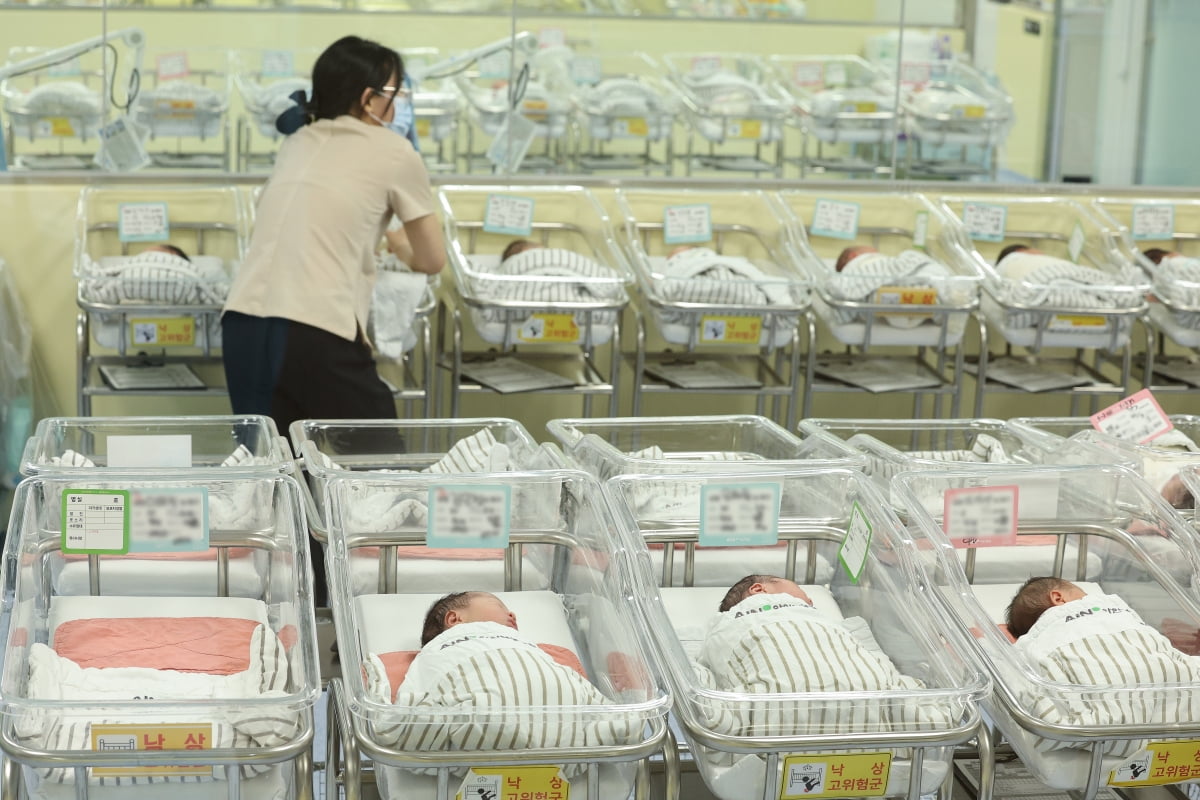 한 병원에 마련된 신생아실에서 신생아들이 휴식을 취하고 있다. 사진=뉴스1