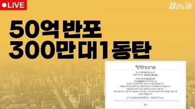 부동산뉴스 총정리📝 경제는 불황, 부동산은 불장 | 집코노미 타임즈