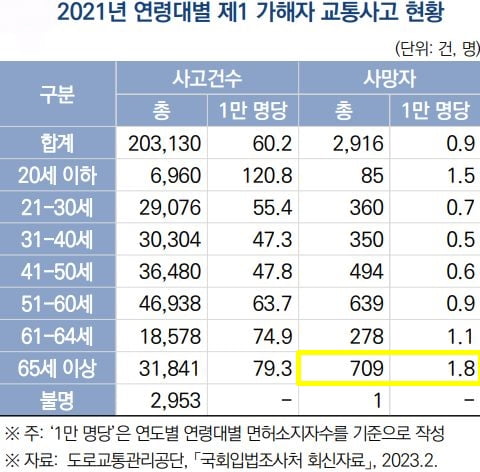 사진=국회입법조사처 '고령자 운전면허 관리제도의 해외사례와 시사점' 캡처
