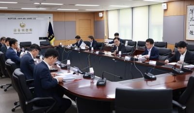 긴급회의 연 슬롯사이트 2025년당국 "국내증시, 펀더멘털 대비 낙폭 과도"