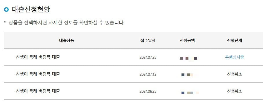 강씨가 제공한 신생아 특례 버팀목 대출 관련 현황. 사진=독자 제공