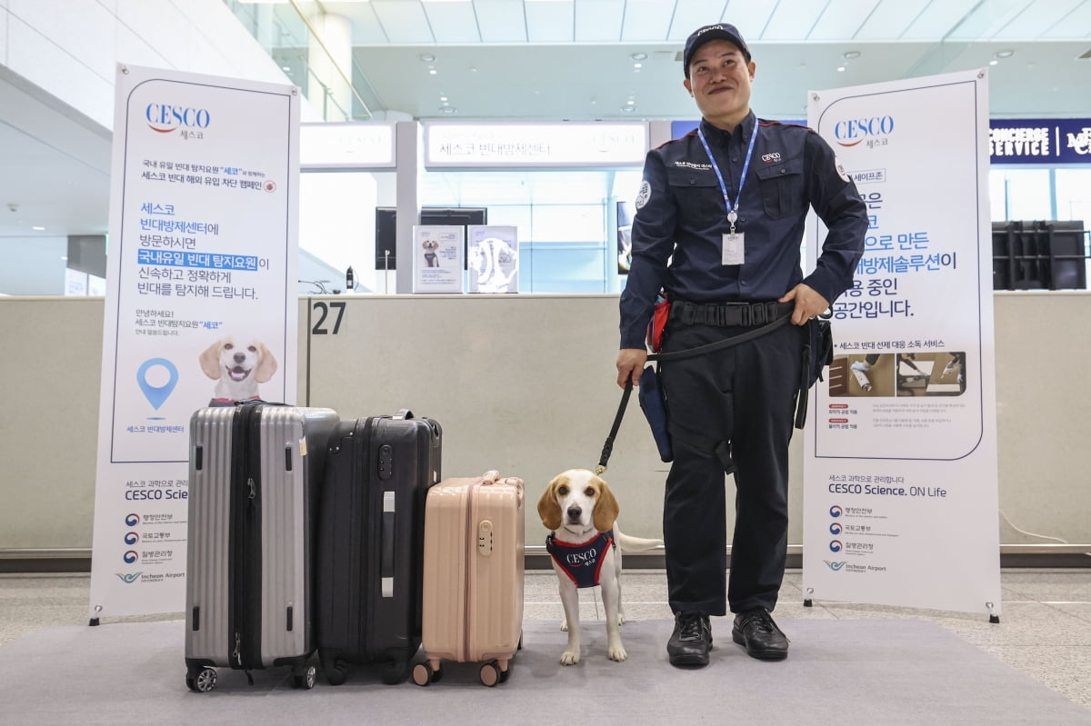 [뉴스 한줌] 국내 첫 빈대탐지견 '세코'…K-방역 명 받아 공항 관문 막는다