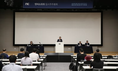 엔씨소프트 "기업 분할 및 신설회사 설립 확정…10월 출범"