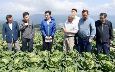 "반찬에서 김치는 빼야할 판"…추석 한 달 앞두고 '어쩌나'