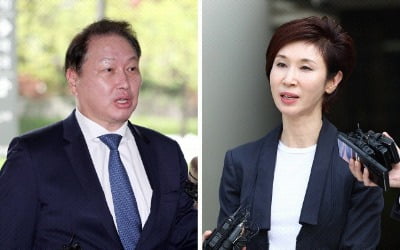 법원 "최태원 동거인 김희영, 노소영에 위자료 20억 줘야"