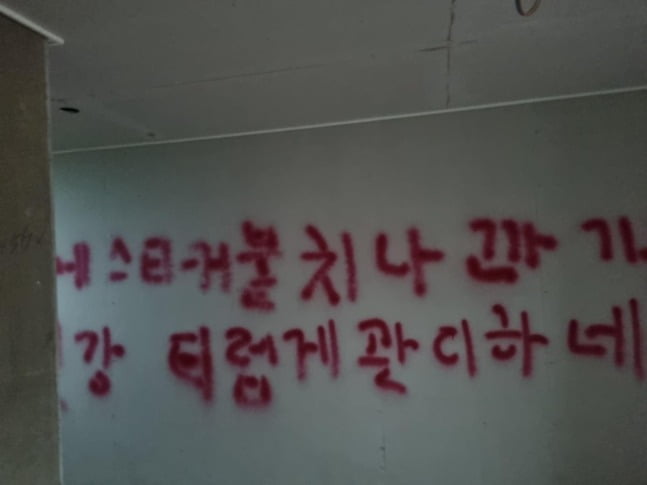 /사진=연합뉴스, 독자 제공