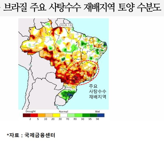 브라질 '라니냐 타격'…치솟는 원당 가격 "디저트 가격 더 오르나" [원자재 포커스]