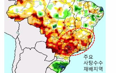 브라질 '라니냐 타격'…치솟는 원당 가격 "디저트 가격 더 오르나" [원자재 포커스]