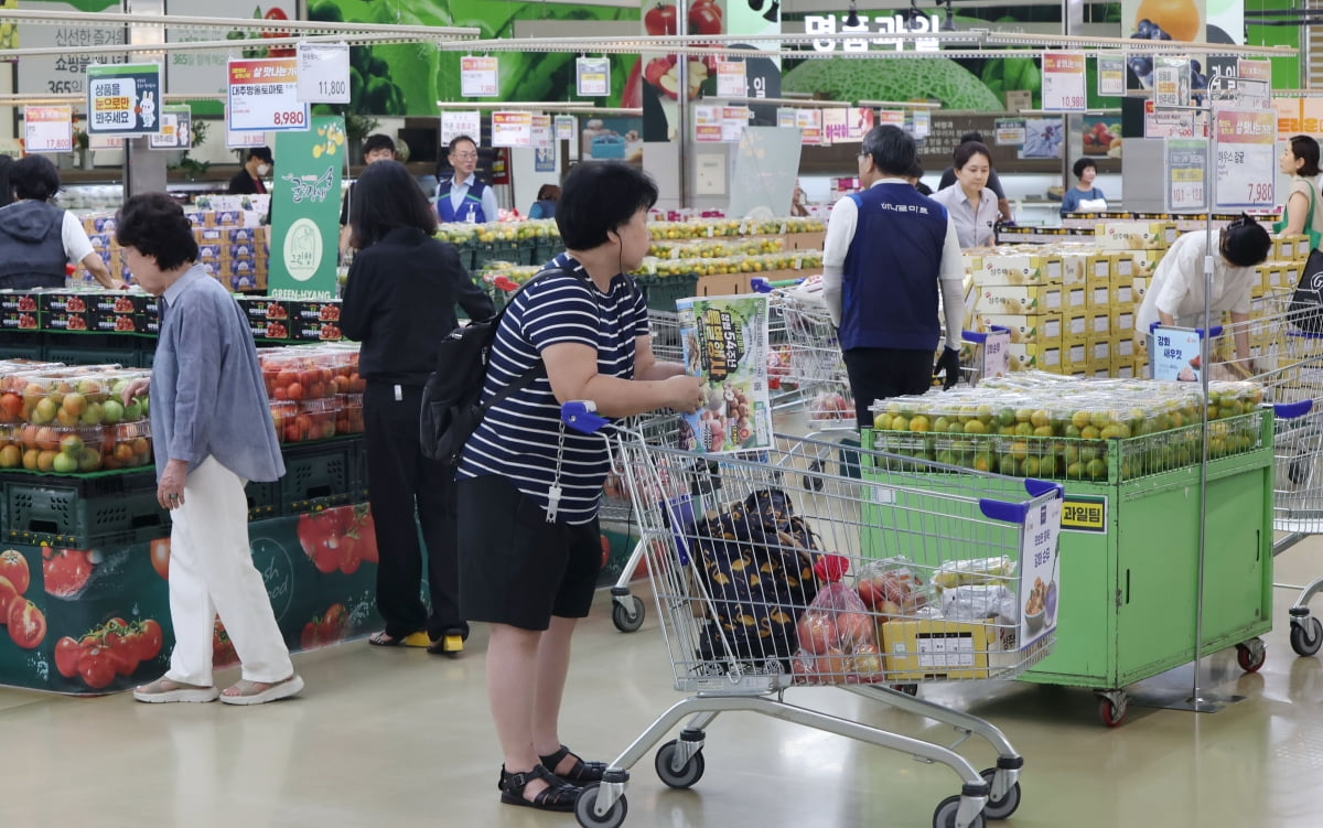 지난 28일 서울 서초구 농협하나로마트 양재점에서 소비자가 물건을 살펴보고 있다./사진=김범준 기자