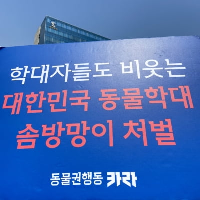 "아파트 9층서 반려견 던졌는데 집유"…동물단체 '분노'