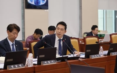 野이정헌 "디지털 FTA, 국가 전략 추진해 데이터 영토 넓히자"