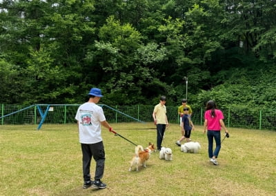 국립자연휴양림, 반려견 동반 입장 기준 완화