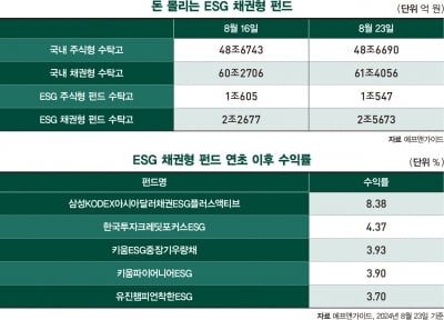 눈앞에 다가온 금리인하...ESG 채권에 뭉칫돈 몰려