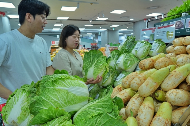 롯데마트, 정부비축 물가안정 상생 배추 판매