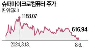 'AI 수혜주' 슈퍼마이크로, 수익 둔화 우려에 13%↓