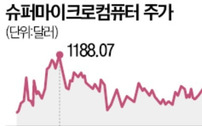 'AI 수혜주' 슈퍼마이크로, 수익 둔화 우려에 13%↓