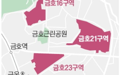 성동구 집값 들썩이니…금호동 재개발 사업 '탄력'