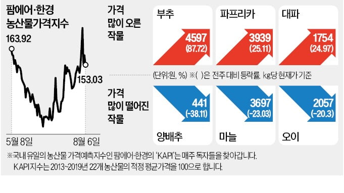 한주 만에 부추·상추값 2배…치솟는 밥상 물가