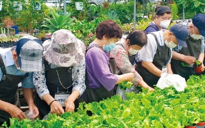 밭작물 카지노 토토화·가루쌀 확산…농촌진흥청의 '종횡무진 프로젝트8'