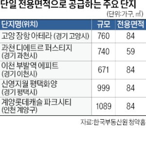 '잘 팔리는' 주택형만 짓는다…단일면적 공급단지 인기