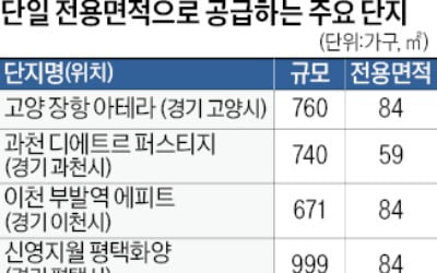 '잘 팔리는' 주택형만 짓는다…단일면적 공급단지 인기