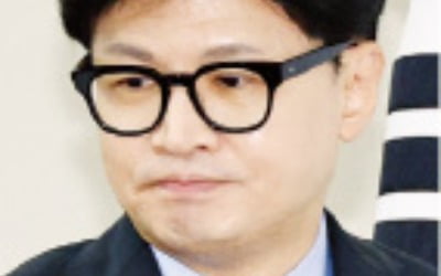 힘빠지는 한동훈 '제3자 특검'…秋 이어 김상훈도 "재고 필요"