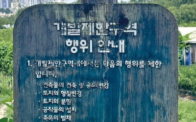 "그린벨트 인근 땅 사겠다"…내곡·세곡·방이동 '들썩'