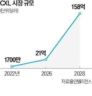 "기술 주권 지켜라"…K-팹리스, 카지노 사이트 EDA·CXL에 눈뜨다